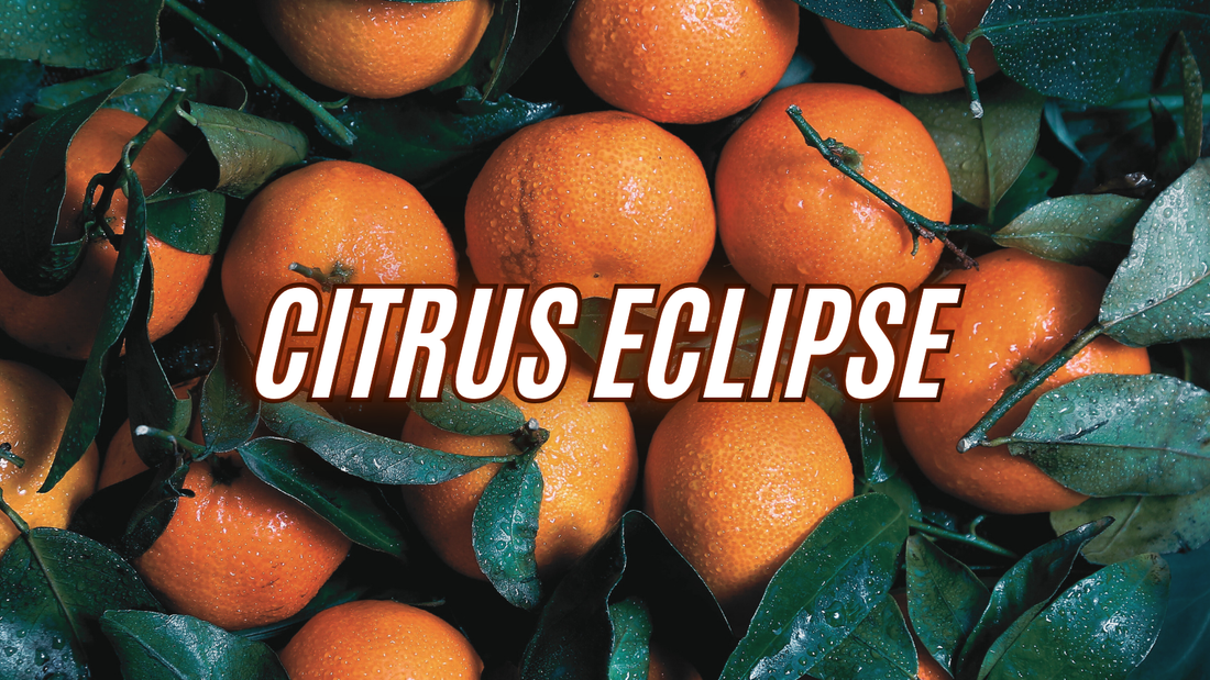 Citrus Eclipse mirisna svijeća s aromom naranče i začina
