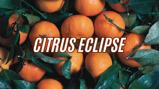 Citrus Eclipse mirisna svijeća s aromom naranče i začina